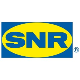 SNR Flanschlagergehäuse mit Nut FC203N