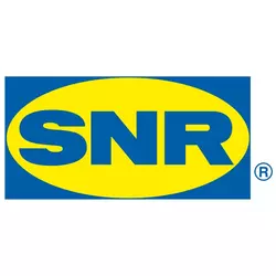 SNR Flanschlagergehäuse mit Nut FCE204N